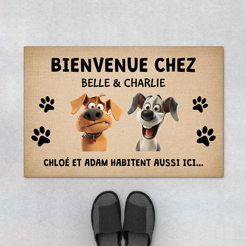 Image du produit 1