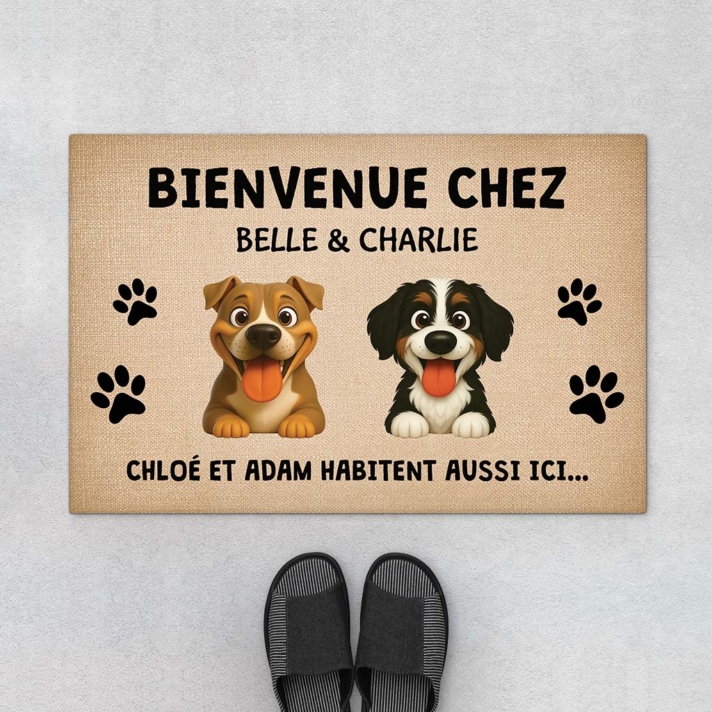 Image du produit 1