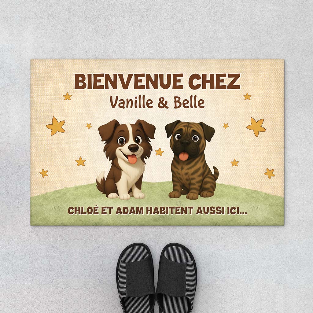 Image du produit 1